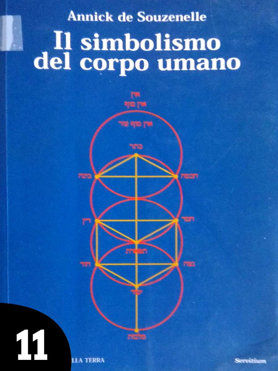 11-libro